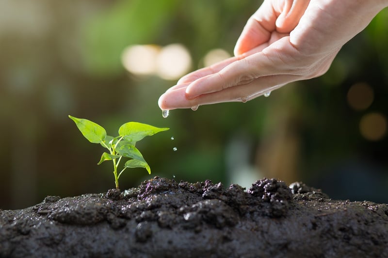Gardening Events